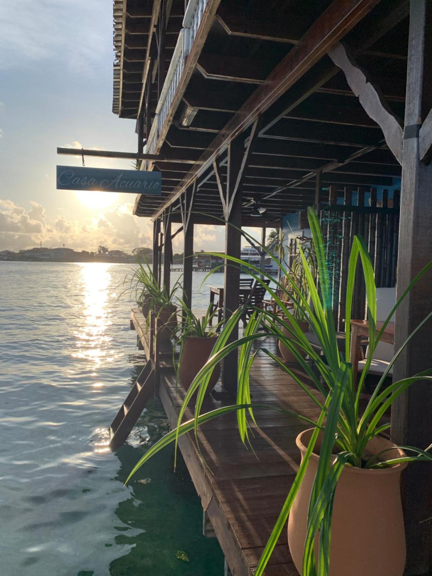 Casa Acuario Boutique Hotel Bocas Town Kültér fotó